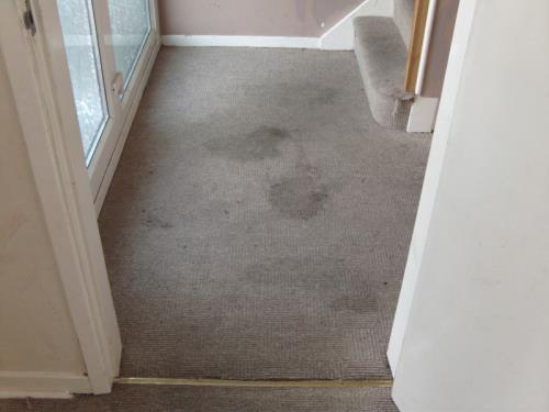 *** Carpet Cleaning Sutton Coldfield (Commercial | Residential | Offices) Rug Carpet cleaning near me